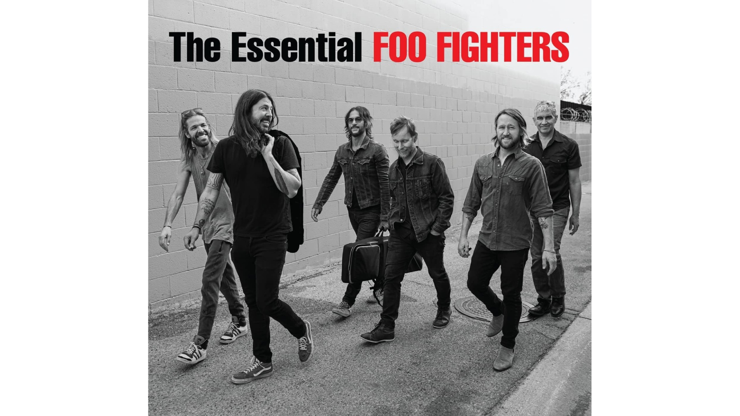 Foo Fighters - The Essential Foo Fighters Vinyl Compilation Album