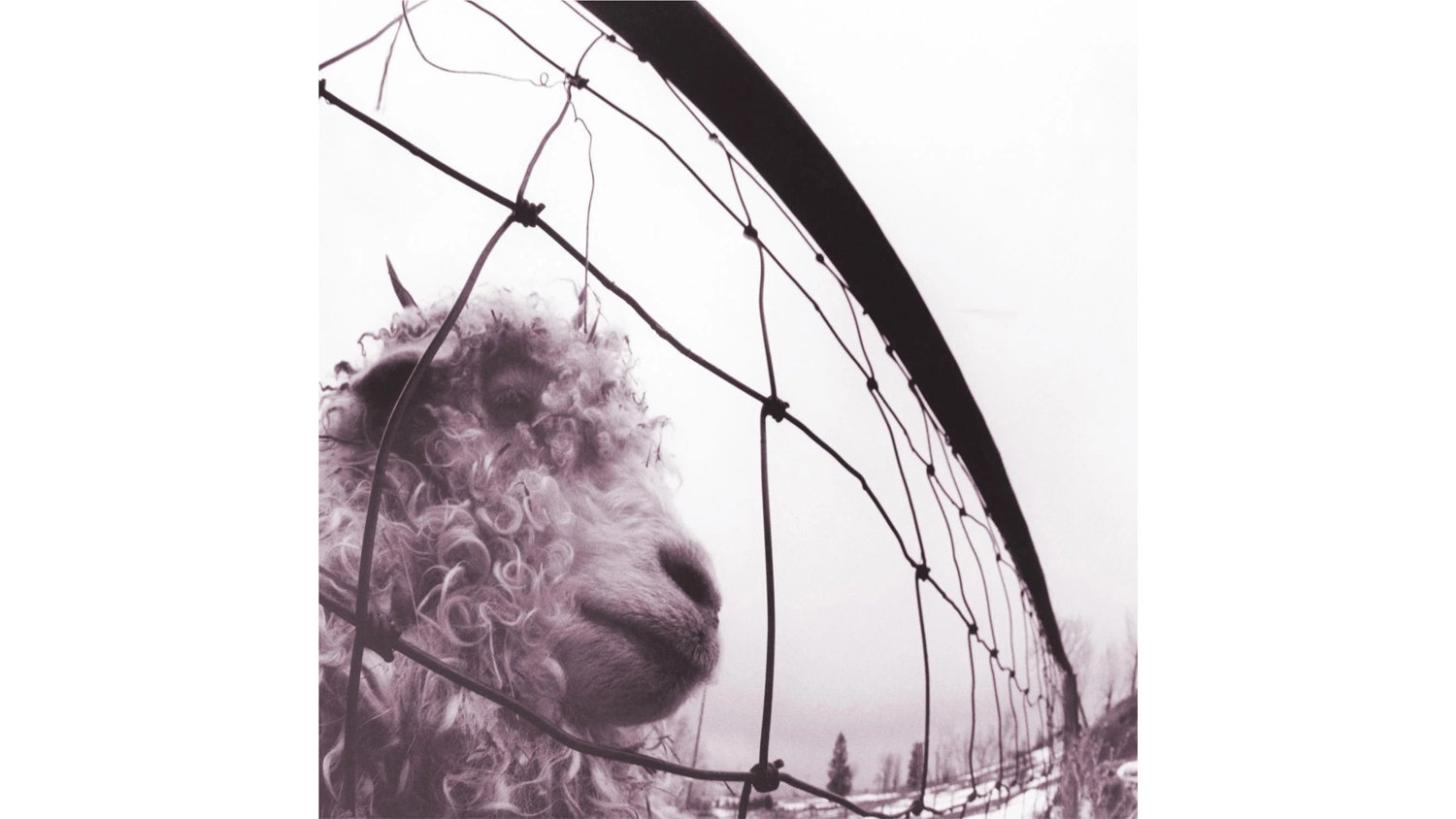 Pearl Jam - VS. Vinyl Album