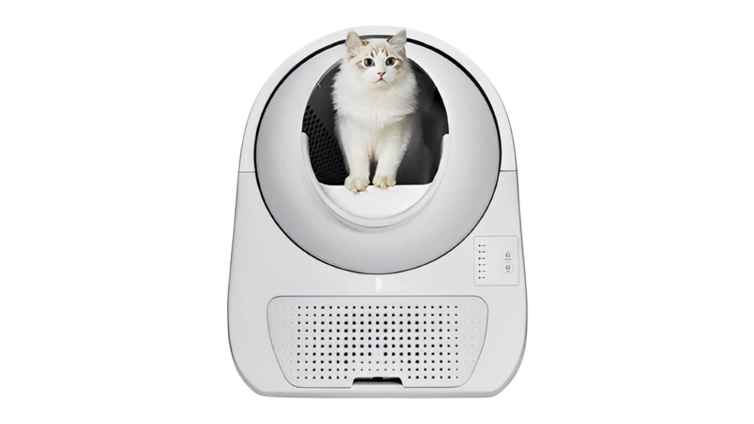 CatLink Scooper Young