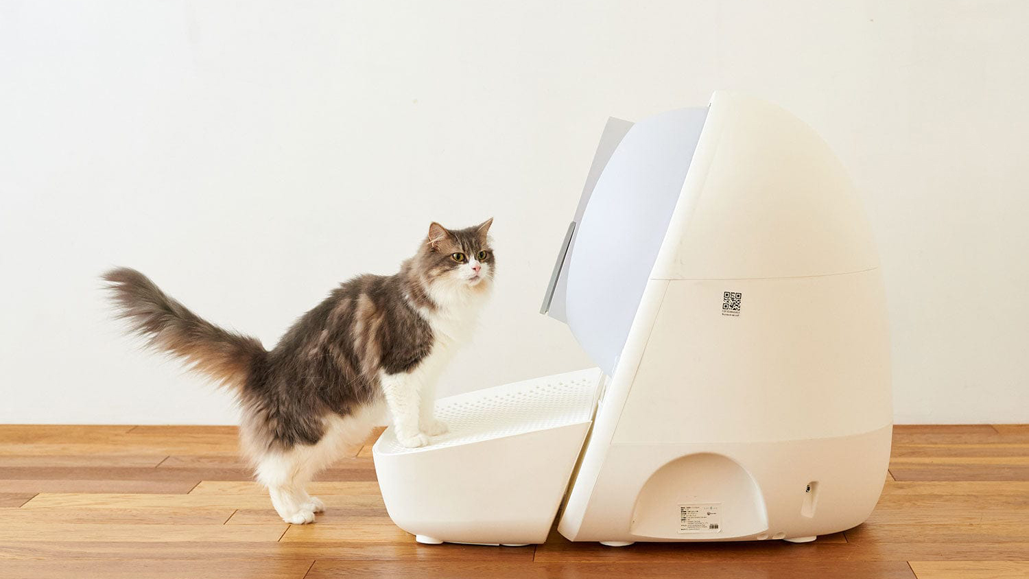 CatLink Accessibility & Litter Catch Ramp for Scooper Luxury Pro/Scooper Young