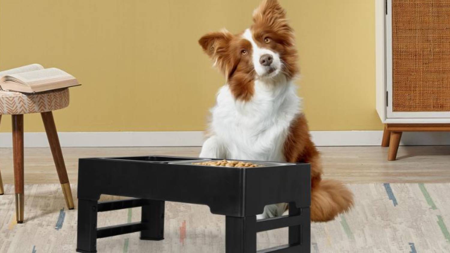 PaWz Adjustable Elevated Pet Feeder Stand with Food Dish, Non-Spill Water Bowl