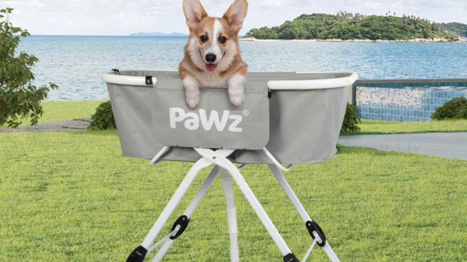 PaWz Evelated Pet Bath Basin with Drainage Hose - Grey