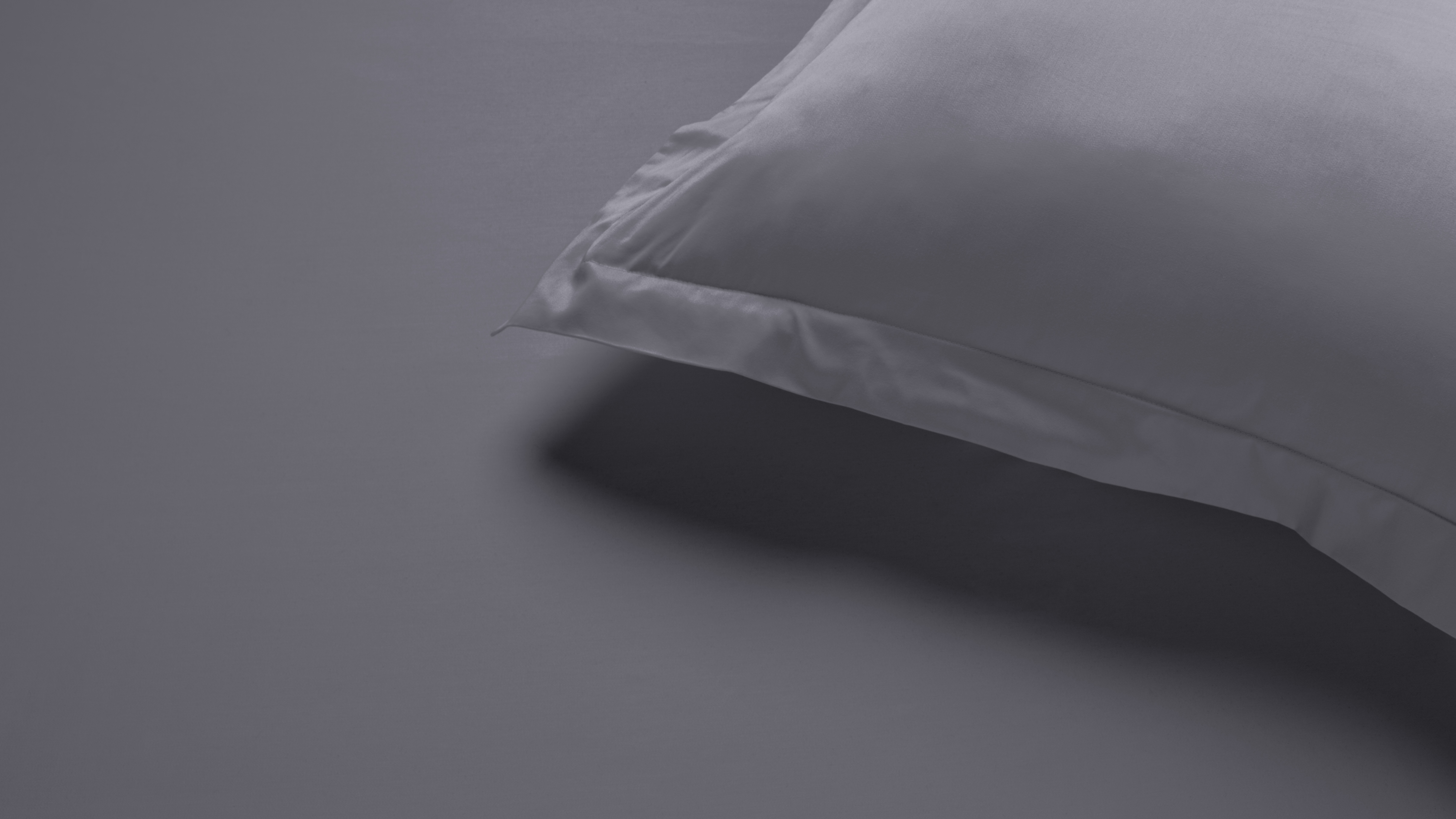 500TC Bamboo Cotton Blend Grey European Pillowcase by Savona