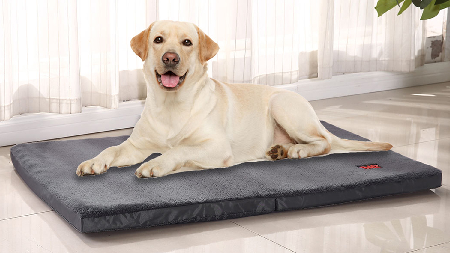 PaWz Folding Pet Travel Bed 75 x 50cm - Grey