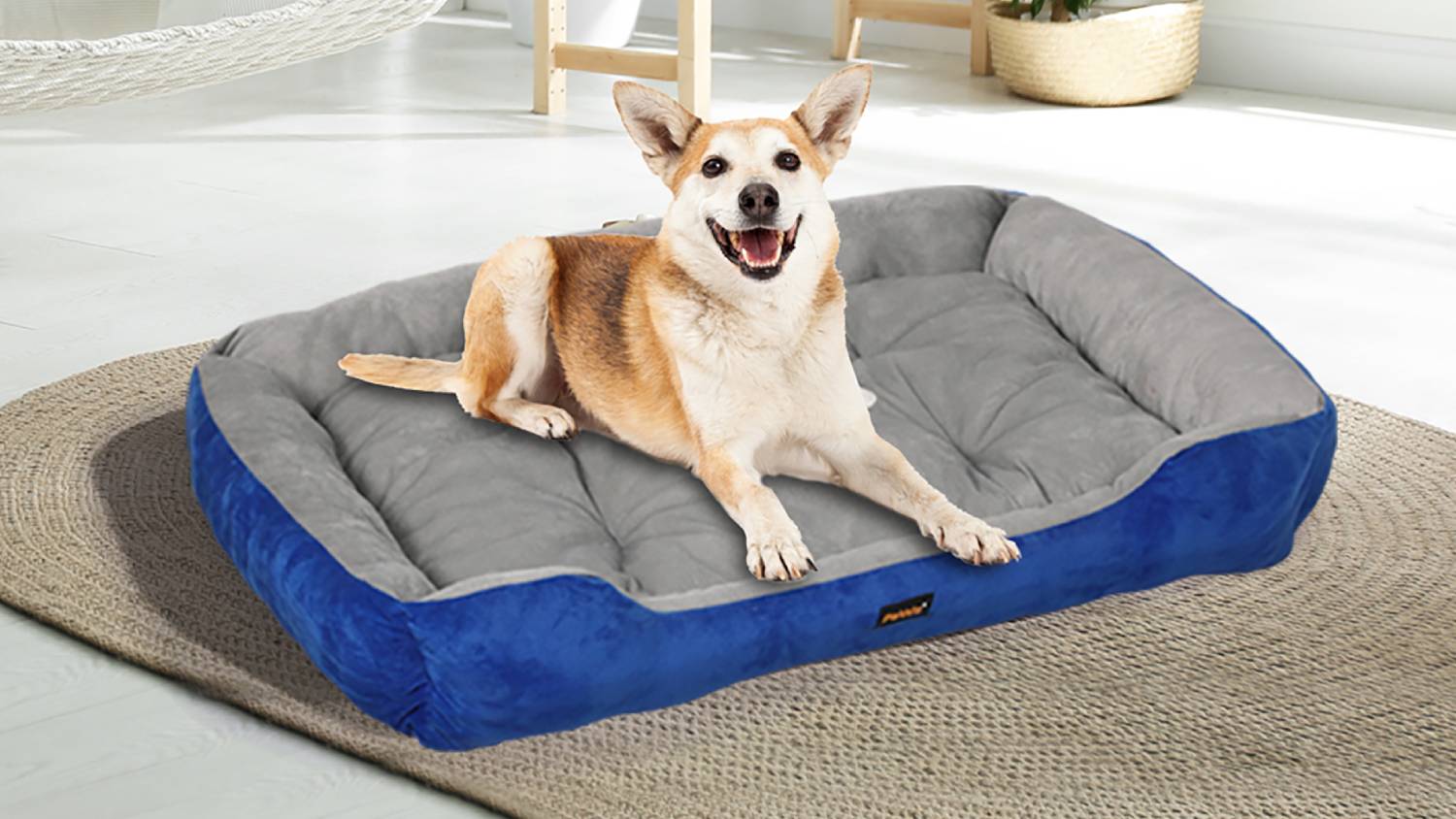 PaWz Heavy Duty Plush Pet Bed 80 x 60cm - Blue