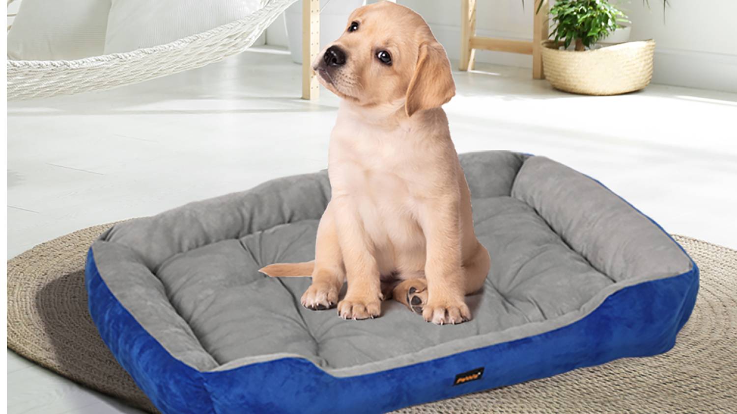PaWz Heavy Duty Plush Pet Bed 56 x 72cm - Blue