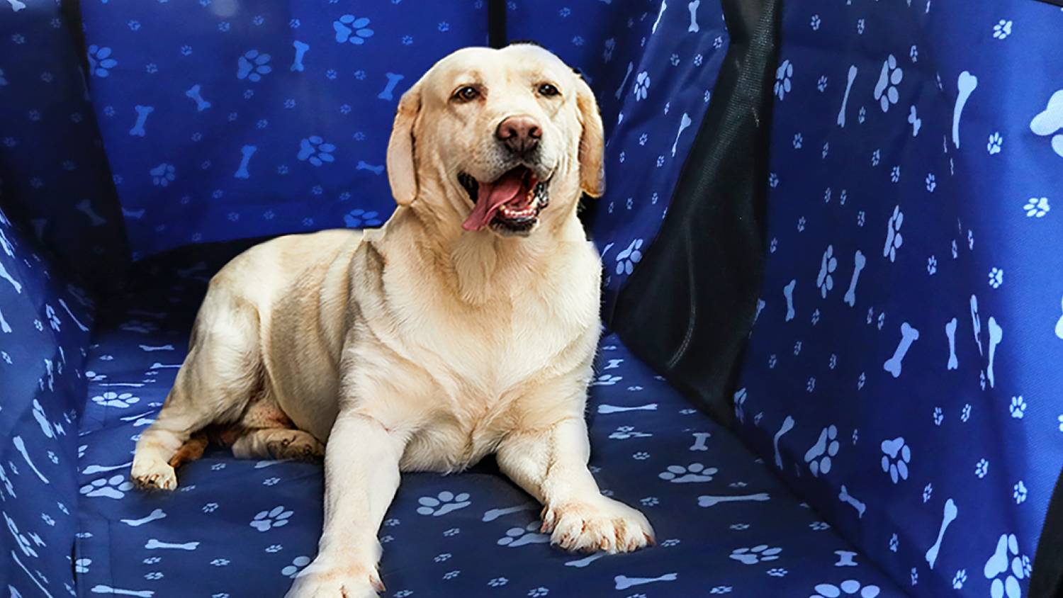 PaWz Waterproof Rear Car Seat Cover 135 x 100cm with Safety Harness - Blue Paw Pattern