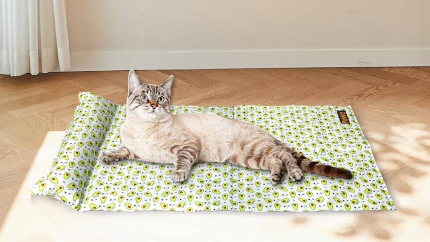 PaWz Summer Cooling Pet Mat Bed 75 x 50cm - Fresh Avocado