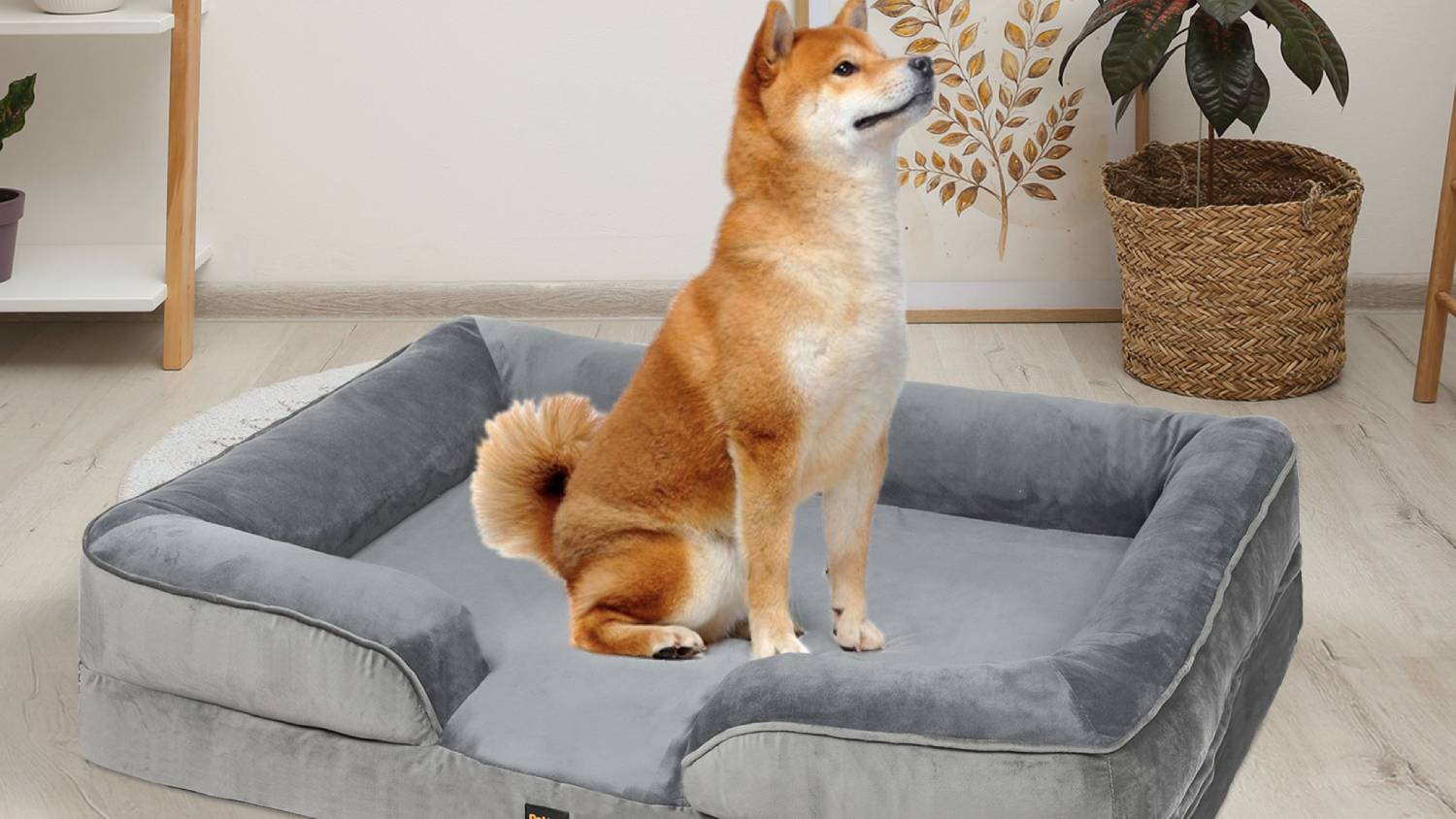 PaWz Premium Velvet-Feel Memory Foam Pet Bed 90 x 64cm - Grey