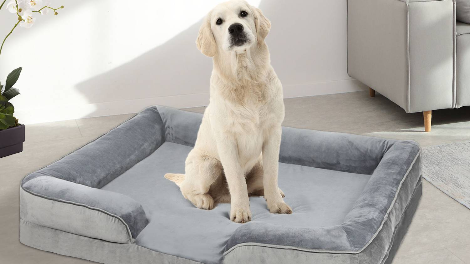 PaWz Premium Velvet-Feel Memory Foam Pet Bed 135 x 106cm - Grey