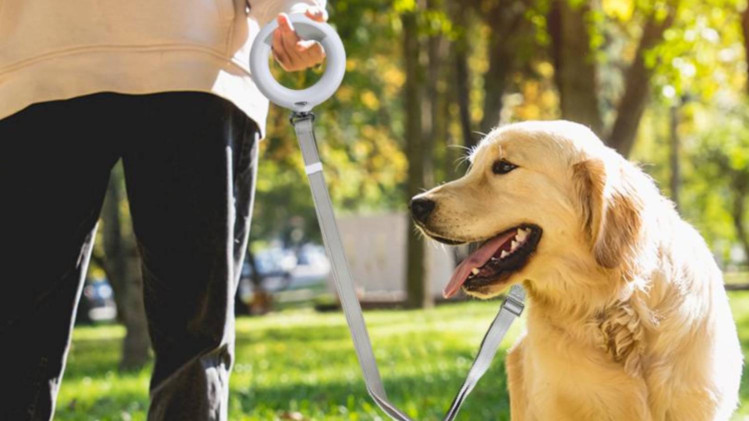 PaWz Rechargable LED Iluminated Dog Leash with Torch 2m - White