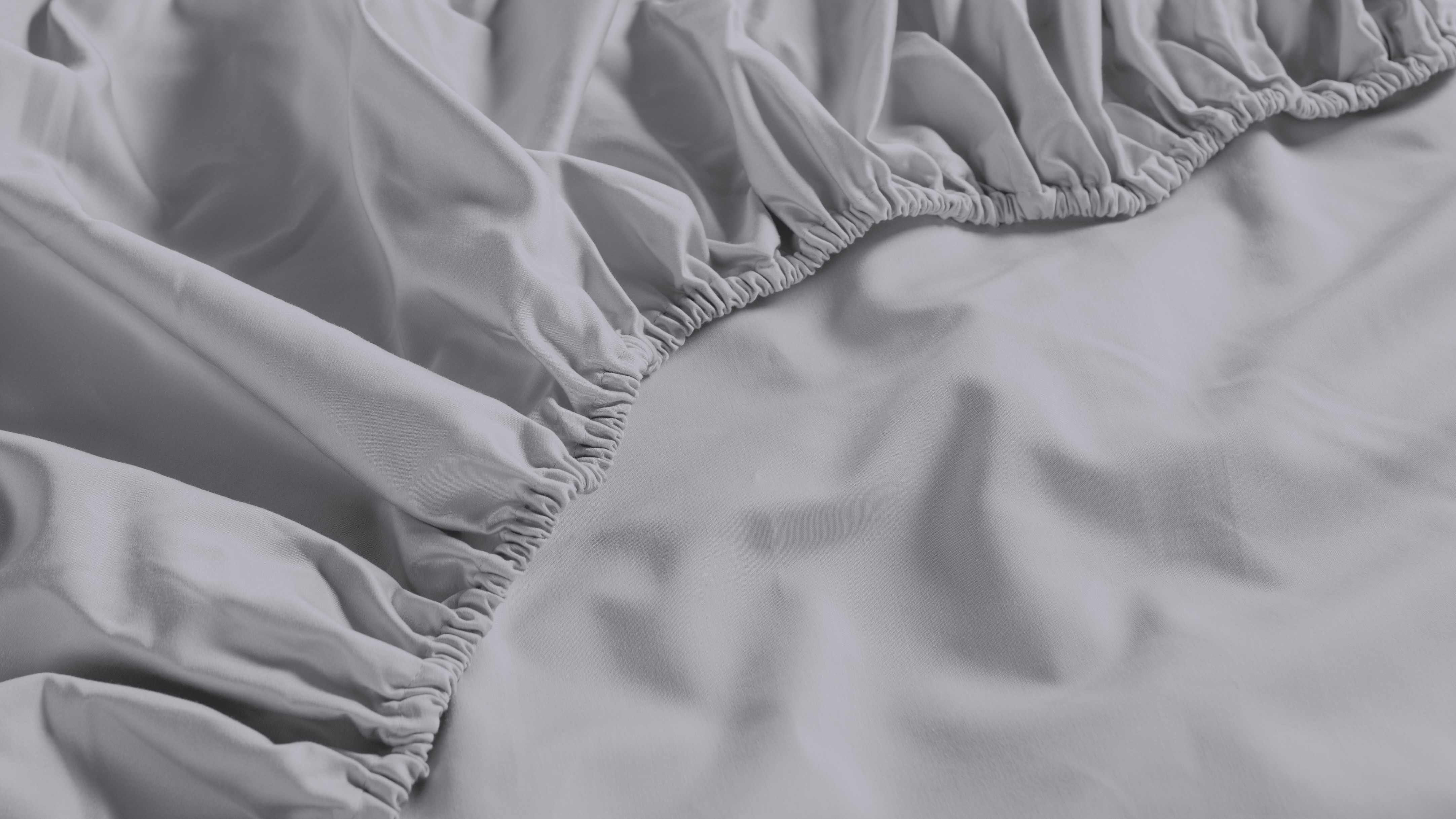 500TC Bamboo Cotton Blend Silver Fitted Sheet by Savona