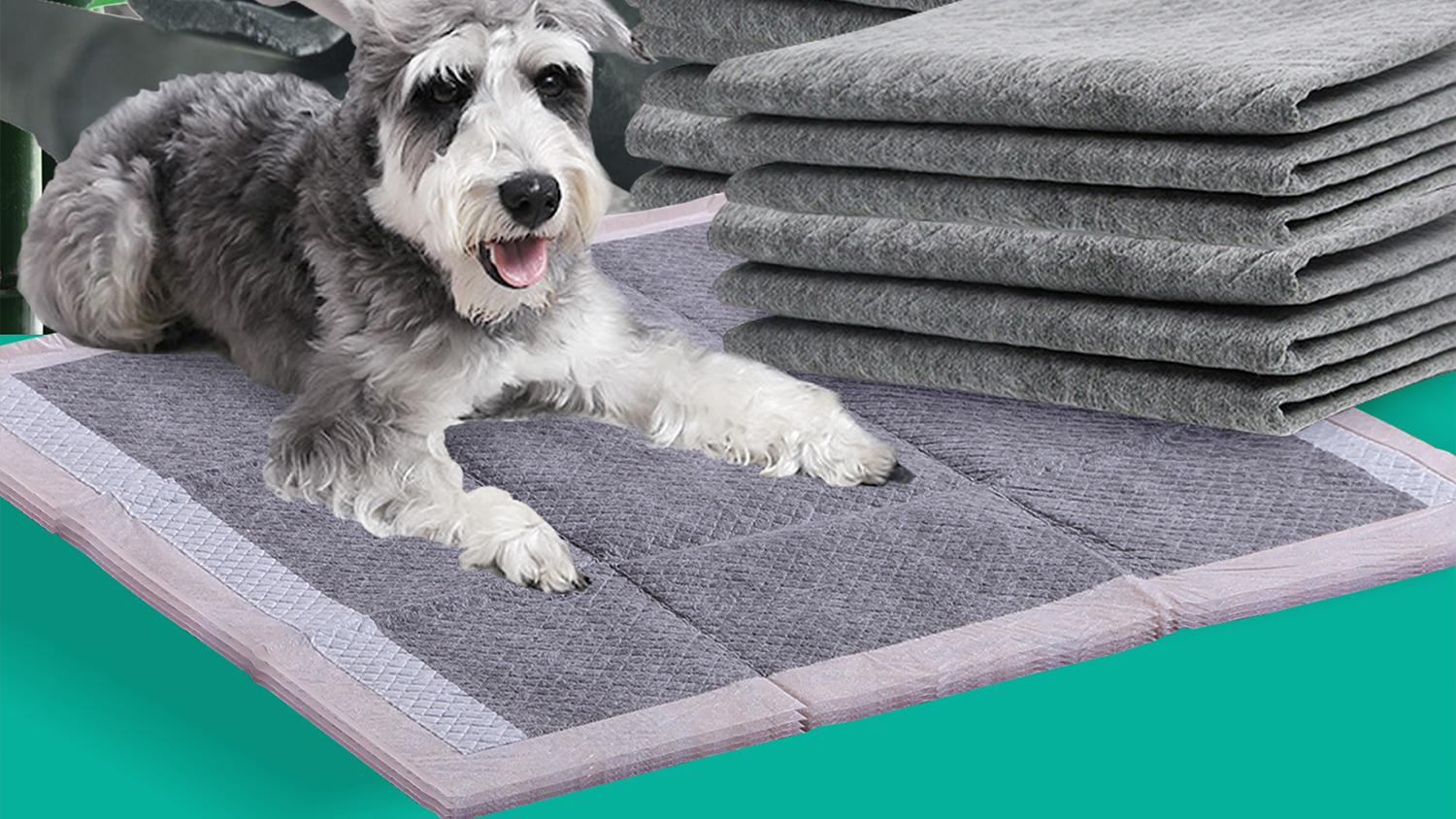 PaWz Ultra Absorbant Puppy Toilet Training Pags 60 x 60cm 50pcs.