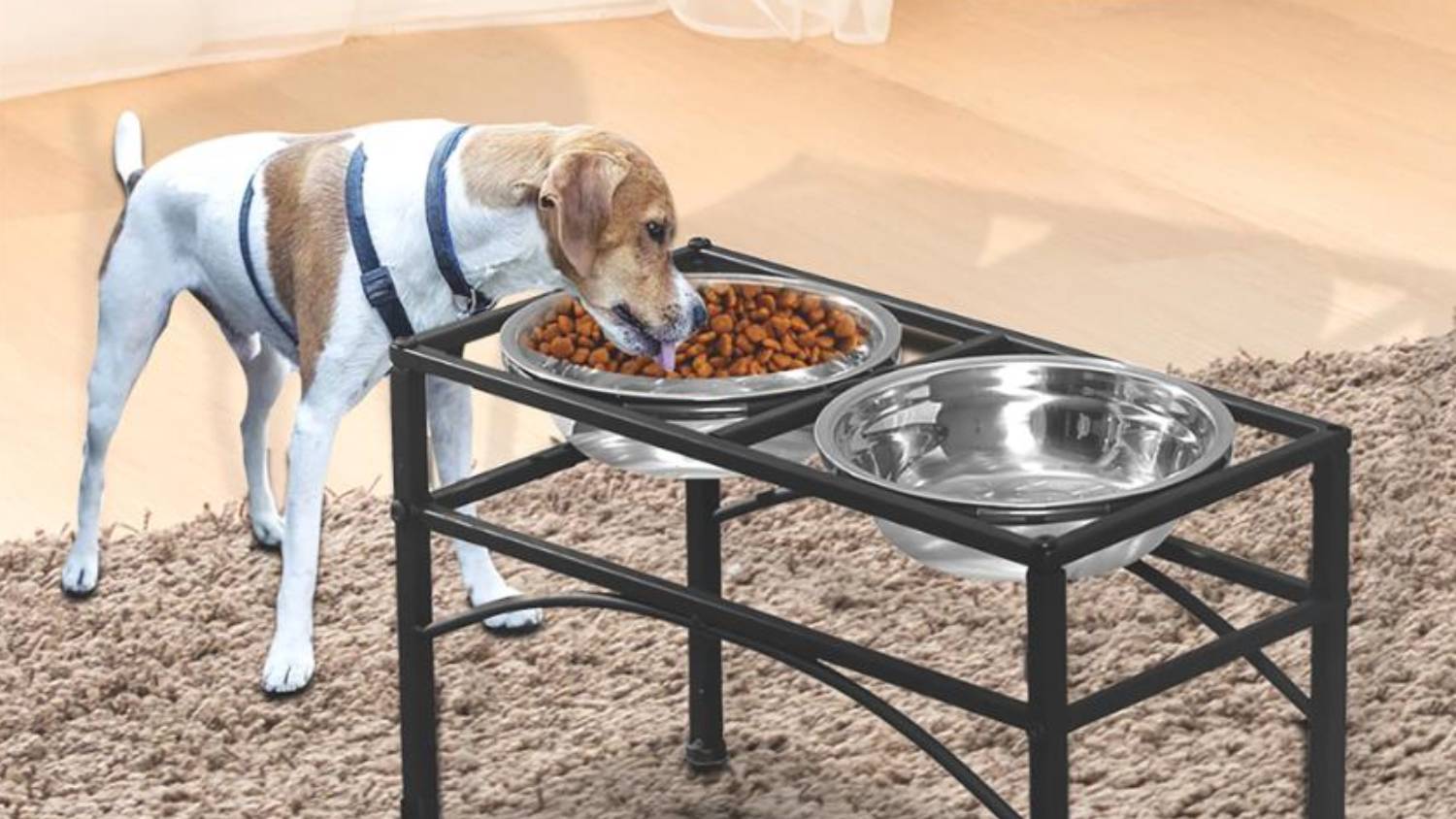 PaWz Elevated Pet Food Stand and Bowls Medium