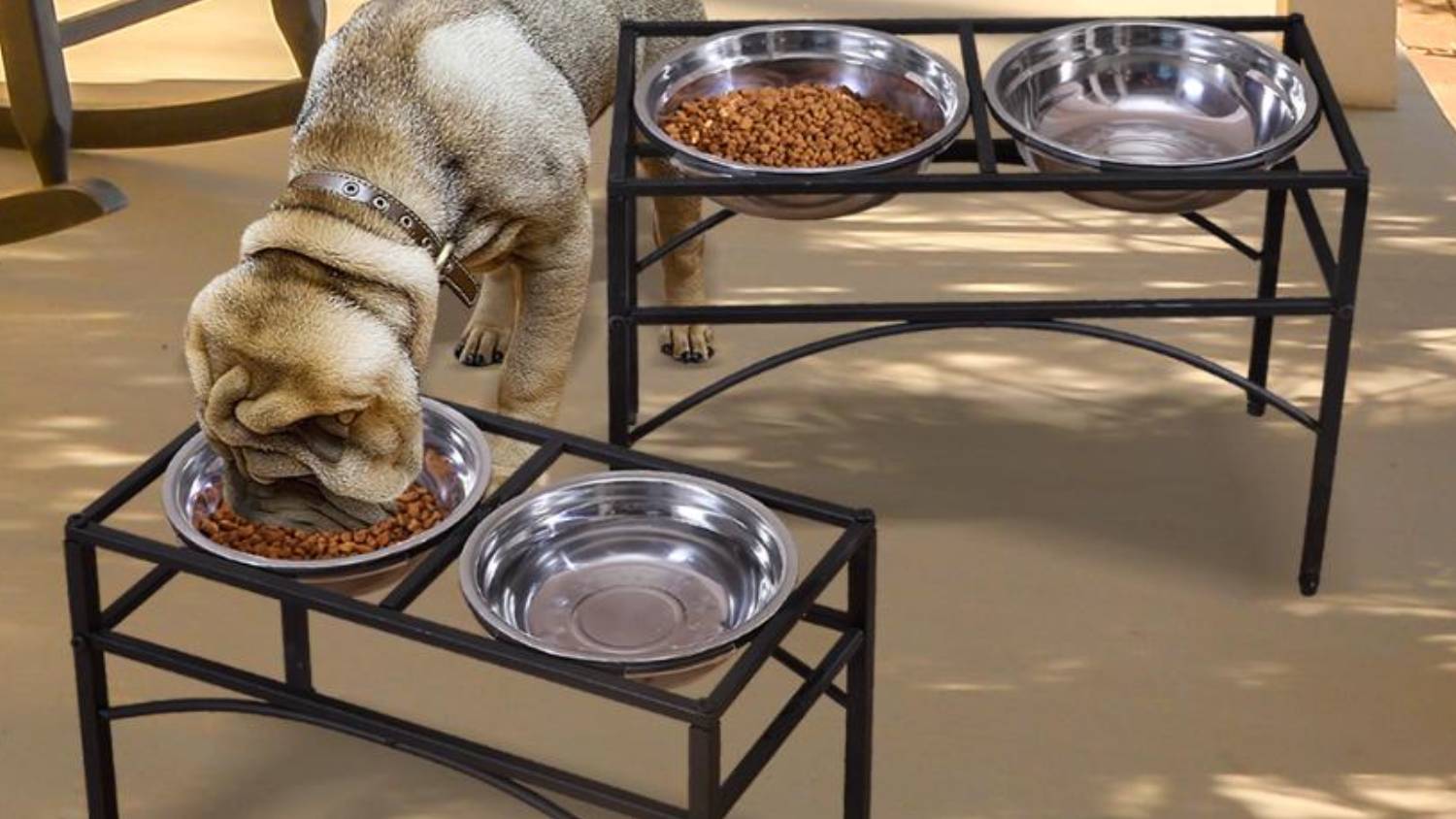 PaWz Elevated Pet Food Stand and Bowls Small