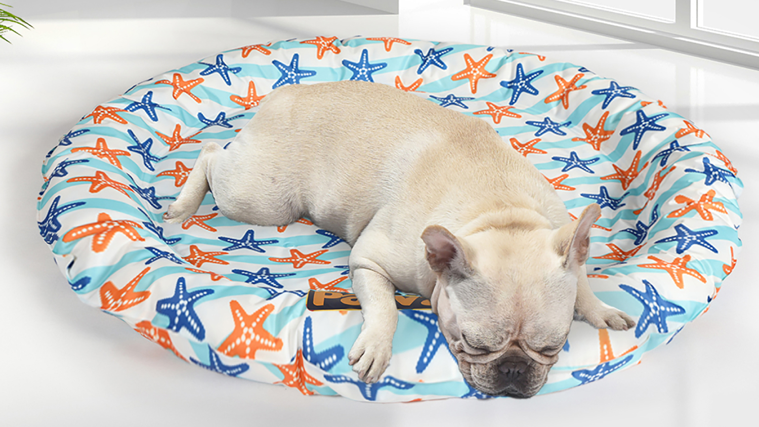 PaWz Premium Round Cooling Pet Bed 60cm - Starfish Splash