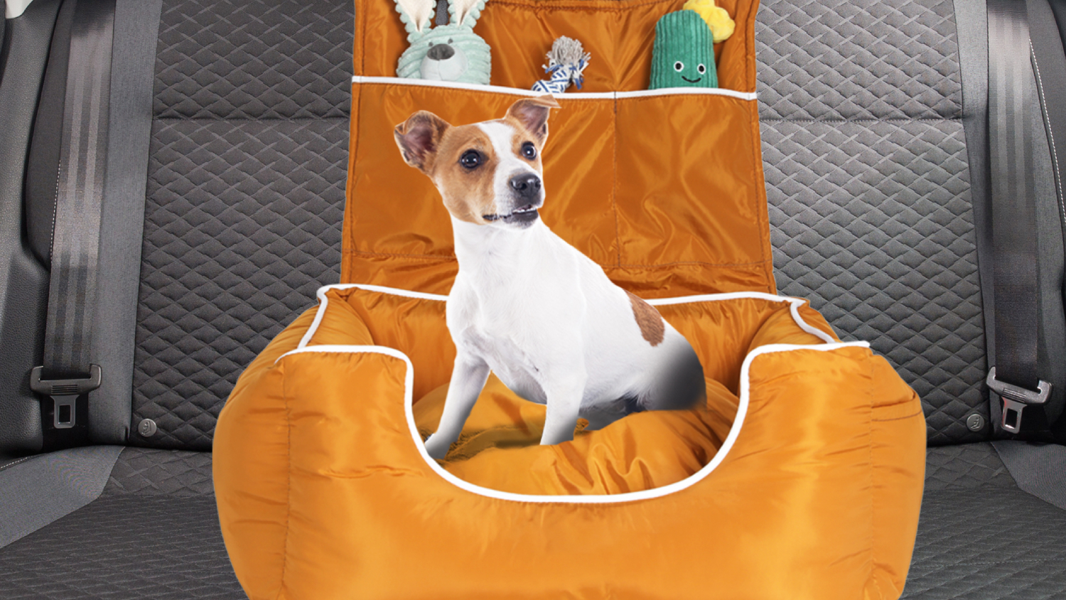 A small dog sitting in an orange pet car booster seat.