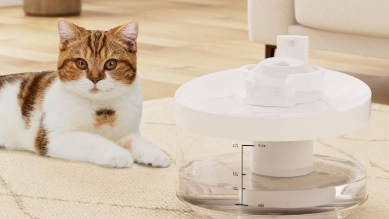 PaWz Illuminated USB Powered Pet Water Fountain 2.2L and Replacement Filter - White