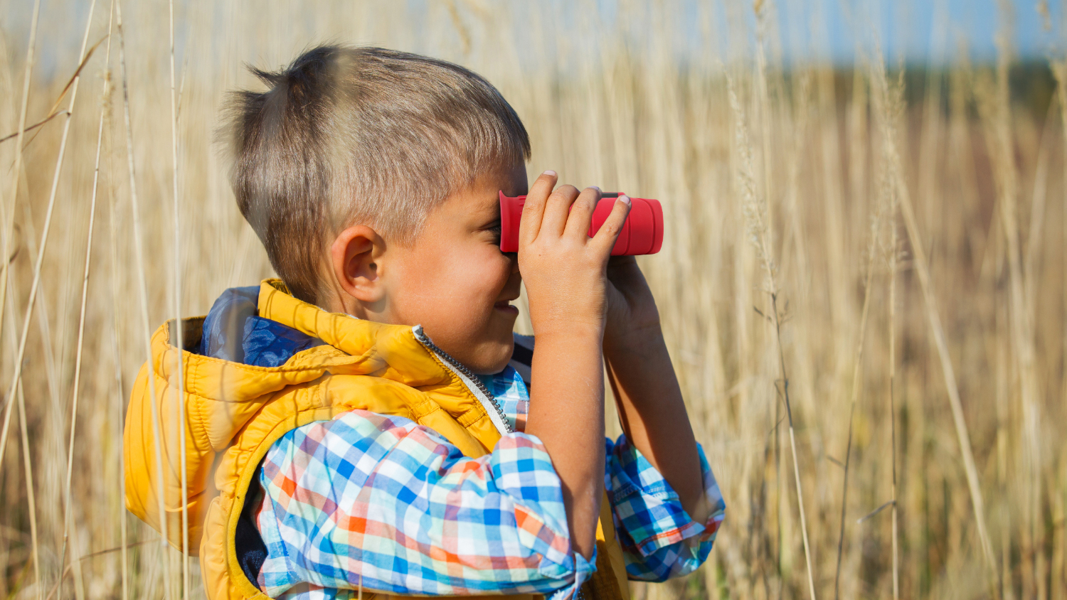 Kodak BCS100 8x21 Binoculars - Red