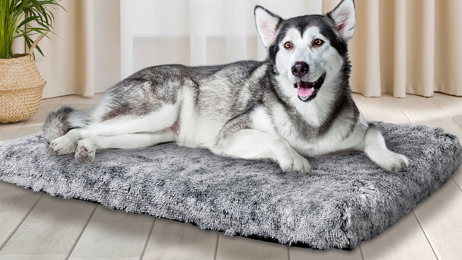 PaWz Premium Fluffy SuperMat Calming Pet Bed 135 x 100 x 10cm - Charcoal