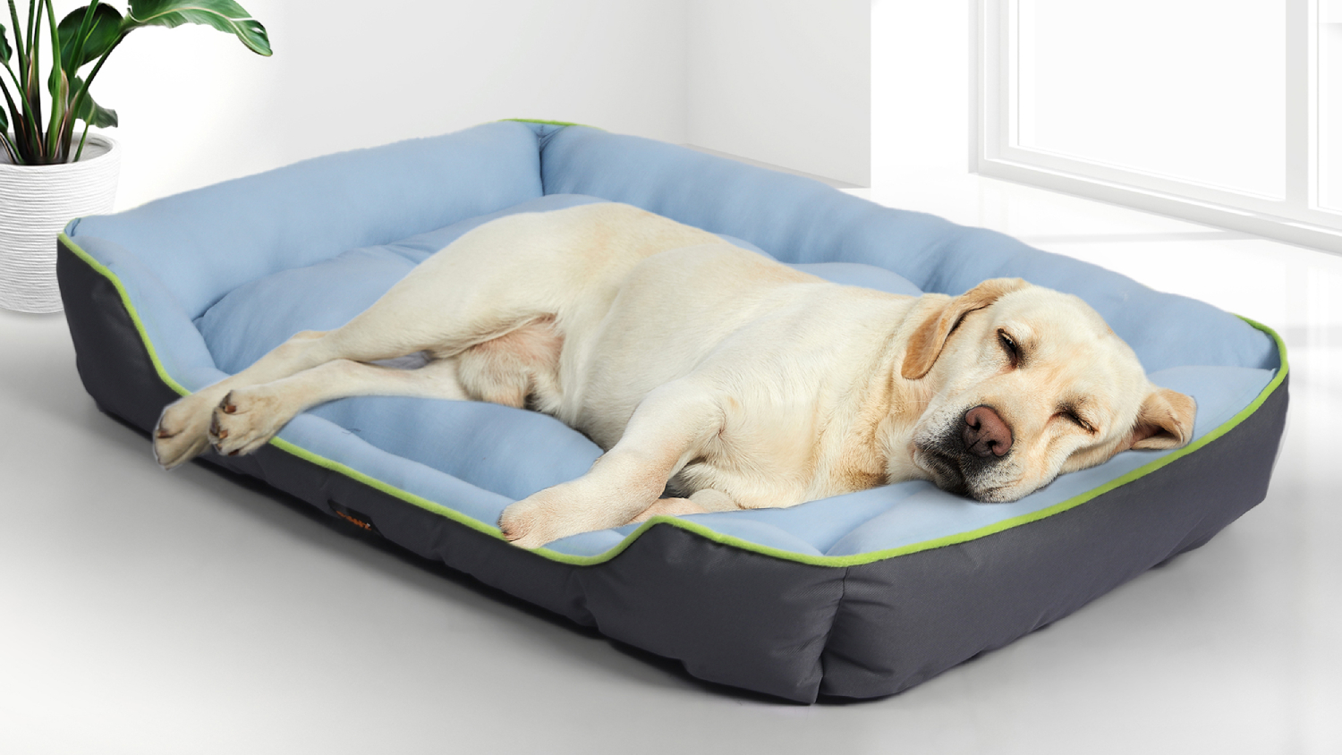PaWz Rectangular Cooling Pet Bed 60 x 42cm - Blue/Grey
