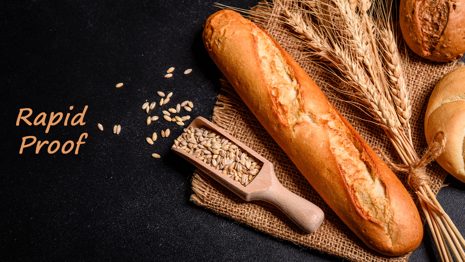 Fisher & Paykel 76cm Built-In Large Oven with 17 Functions - Stainless Steel (Series 9/OB76SDPTDX2)