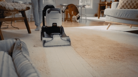 Bissell Power Clean Max Carpet Shampooer - Black/Purple (3877F)