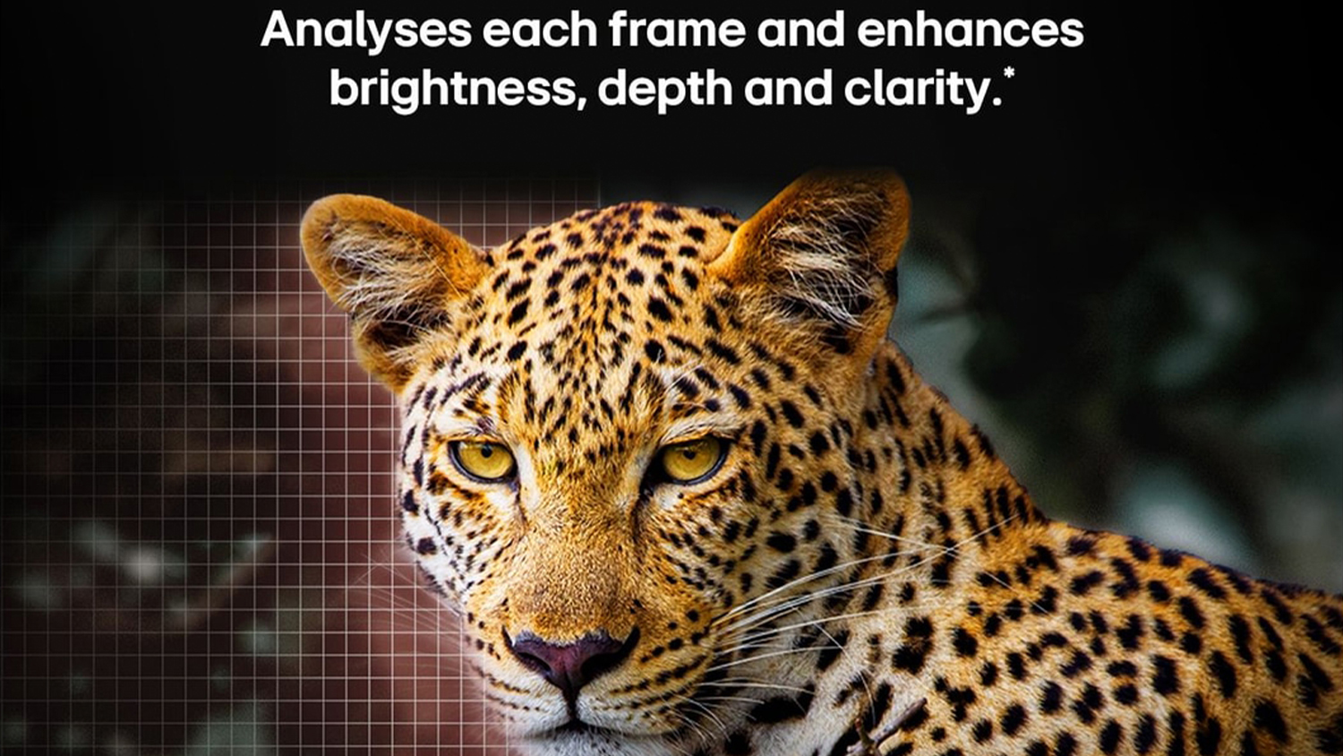 LG 55" G5 Smart 4K OLED evo AI TV (2025) with webOS 25