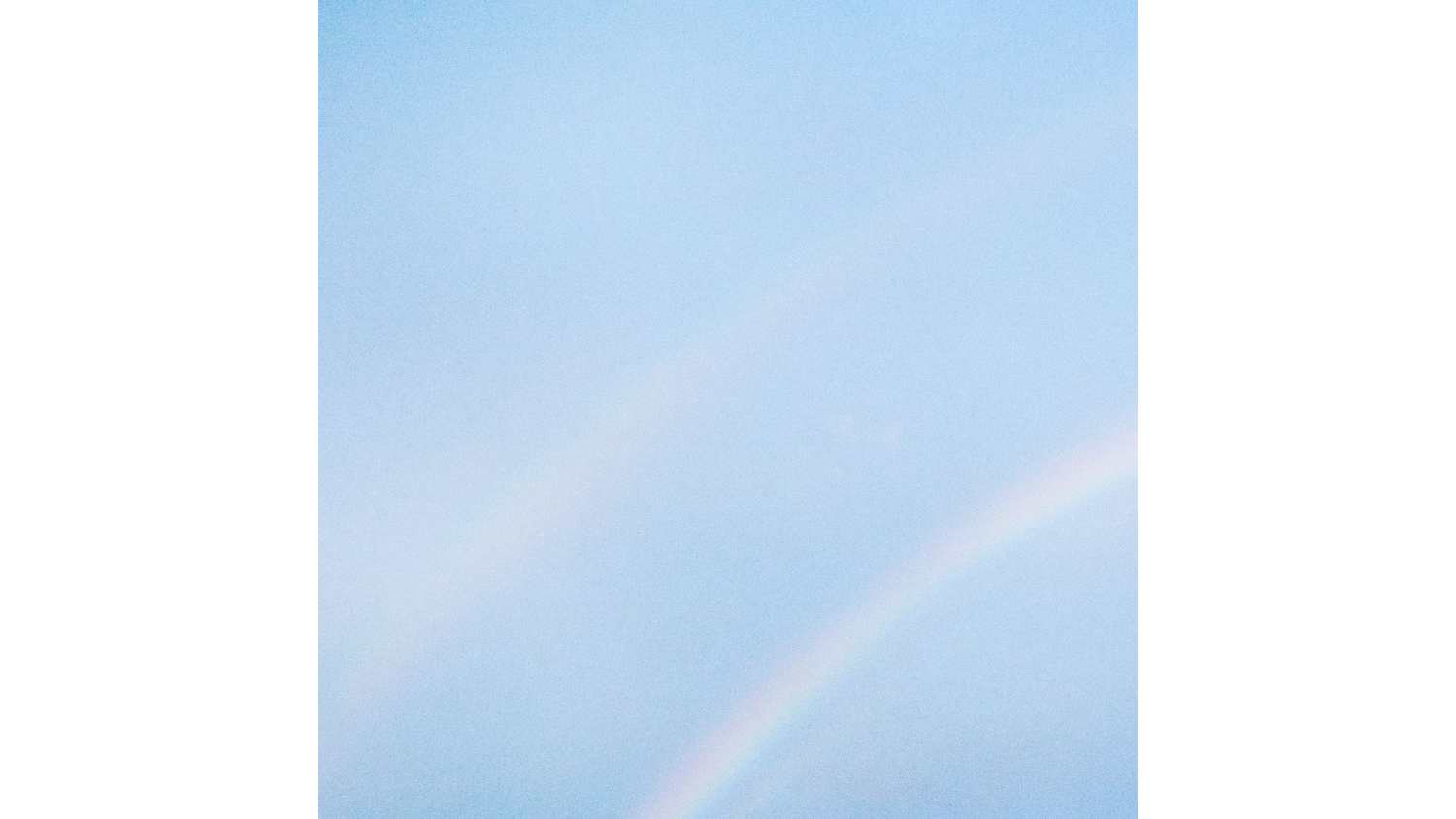 Turnstile - Never Enough Vinyl Album