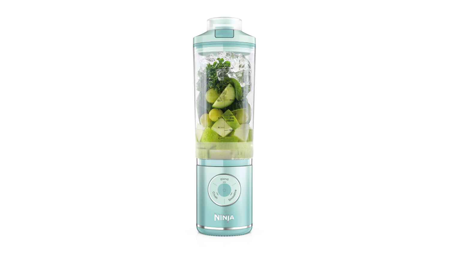 Ninja Blast Max Portable Blender - Sea Glass (BC251MTANZ) | Harvey