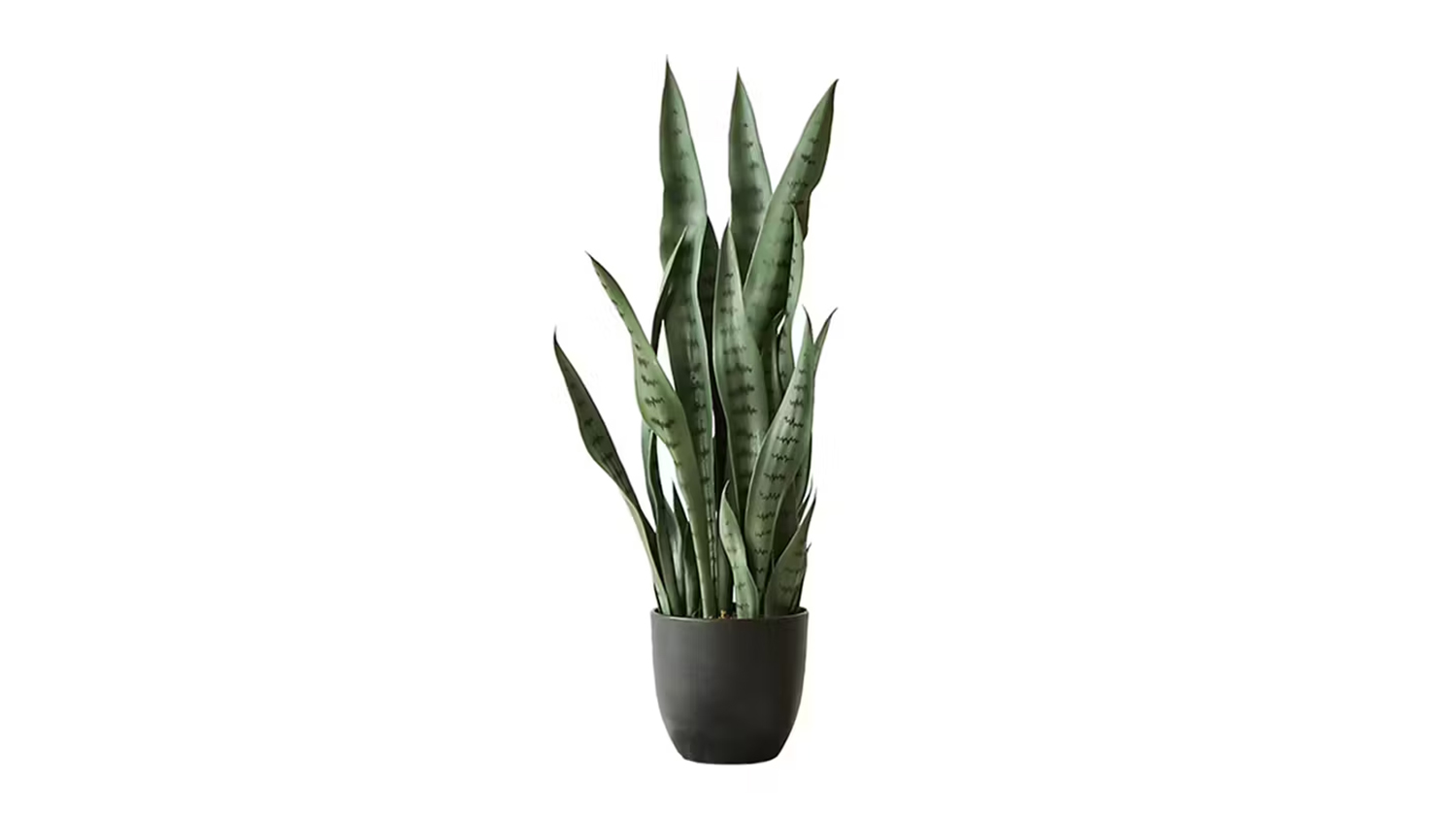 Soga Artificial Snake Plant 95cm