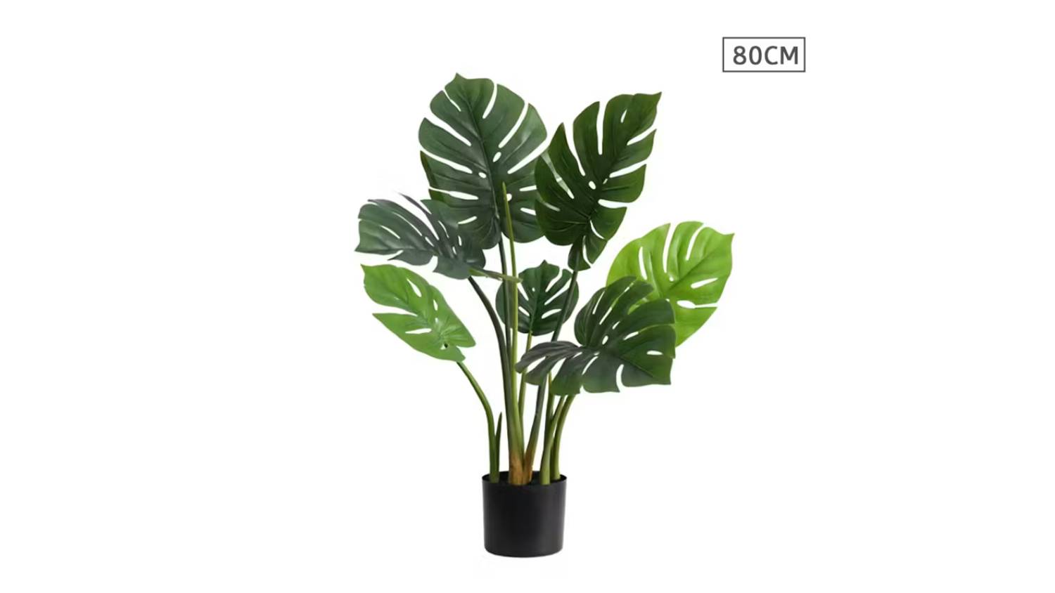 Soga Artificial Turtle Back Plant 80cm