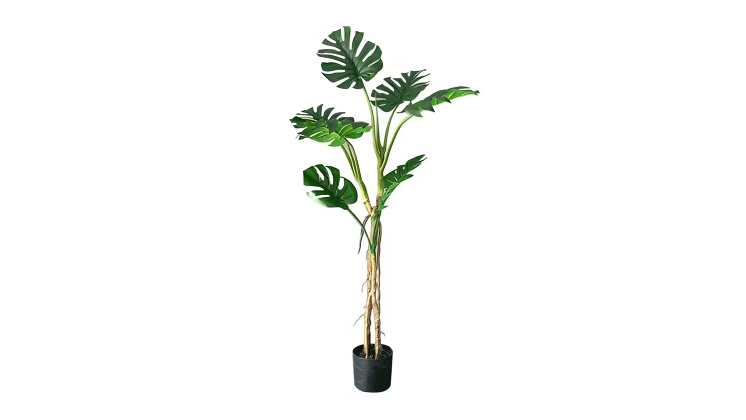 Soga Artificial Turtle Back Plant  160cm