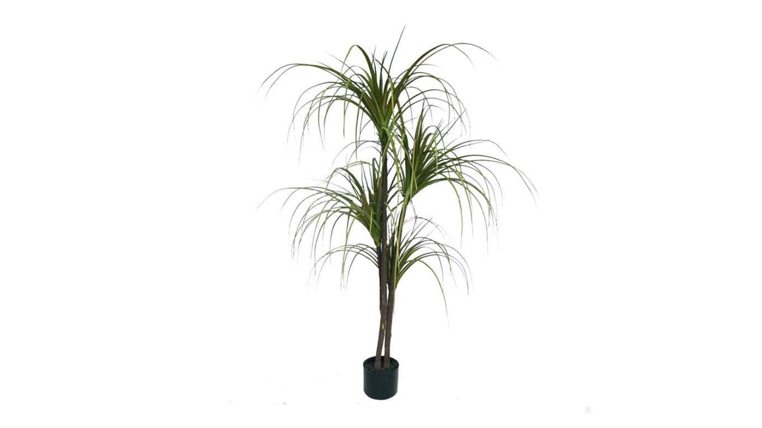 Soga Artificial Dragon Blood Plant 150cm