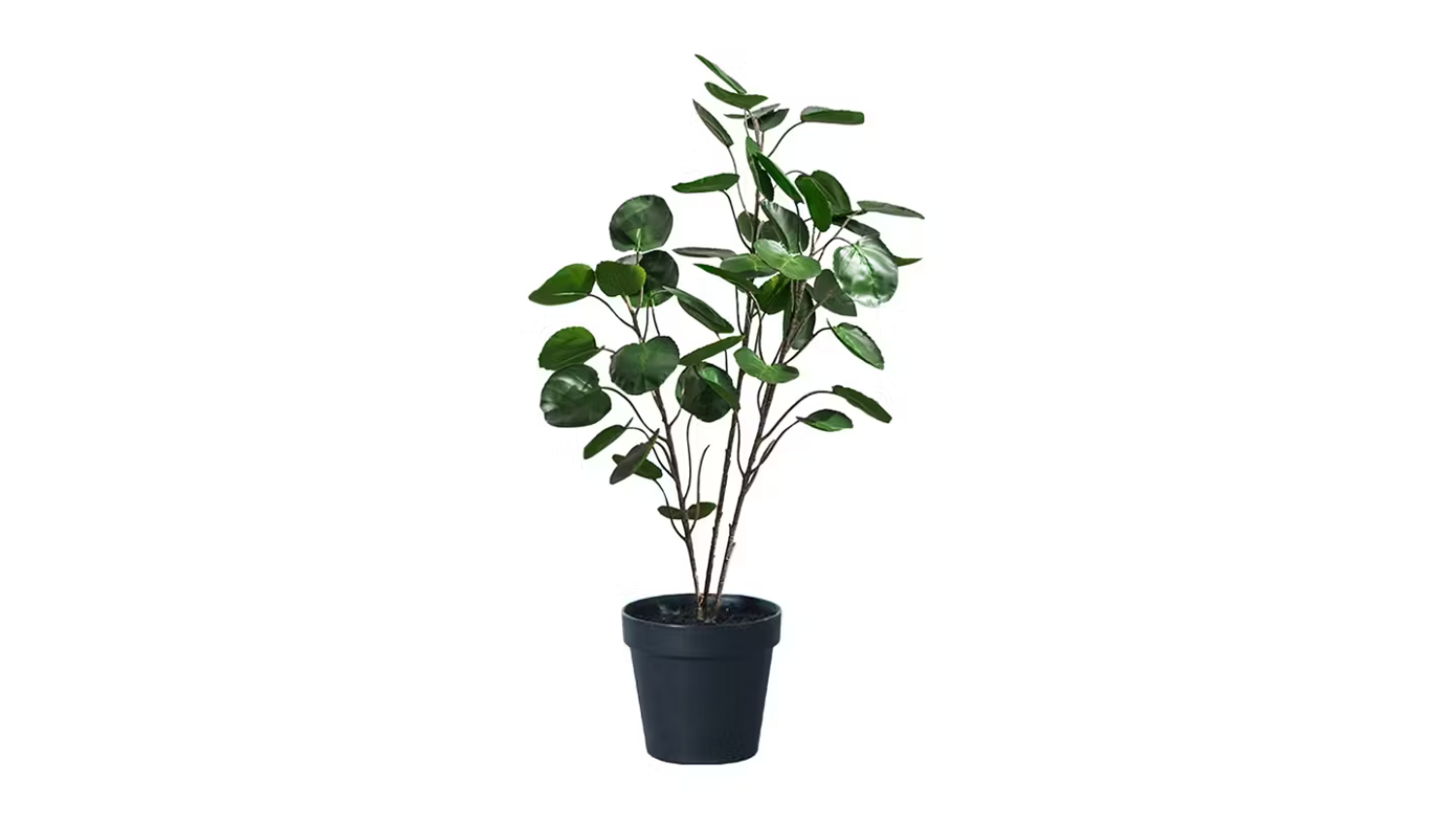 Soga Artificial Pocket Money Tree 95cm