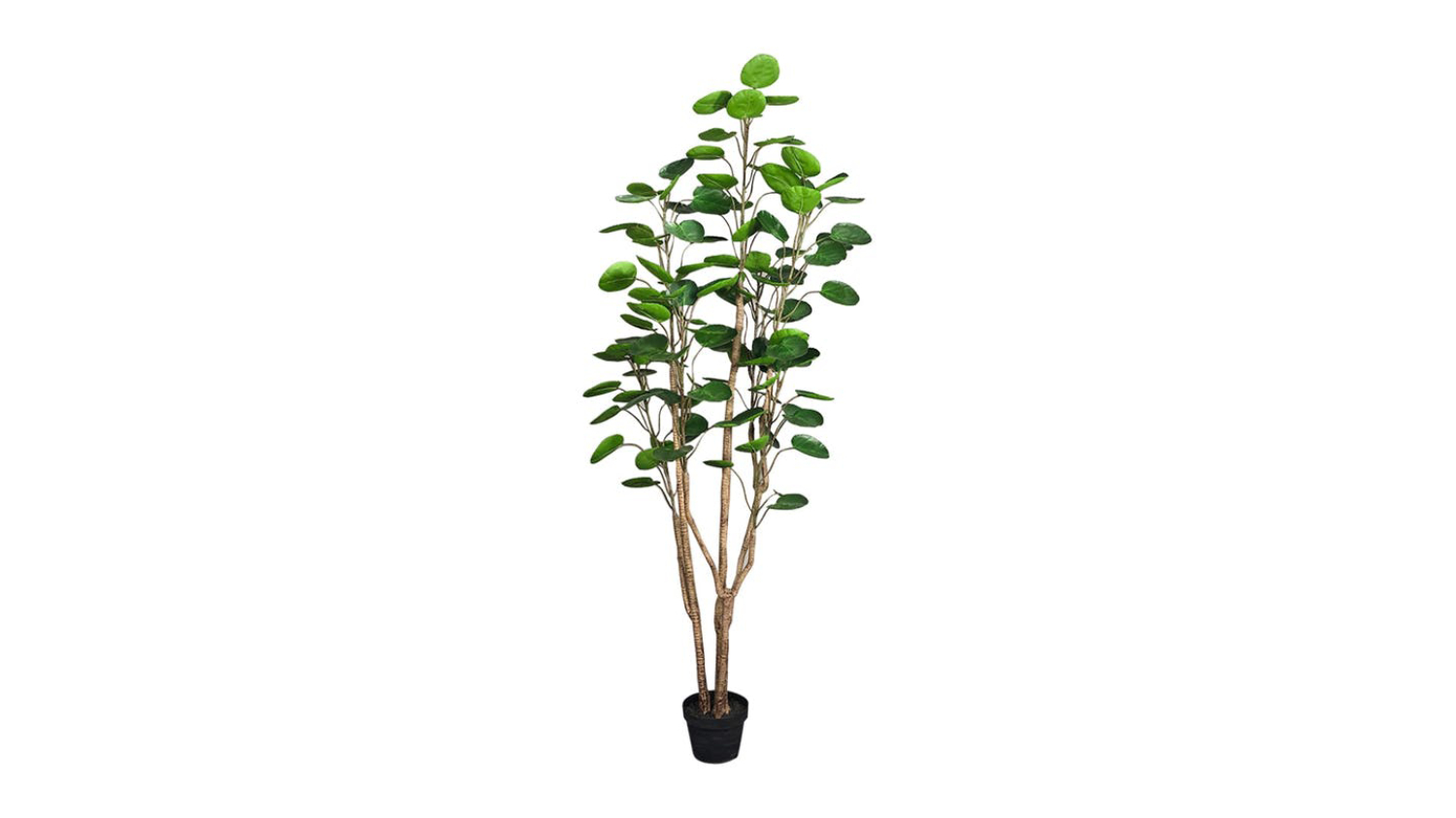 Soga Artificial Pocket Money Tree 180cm