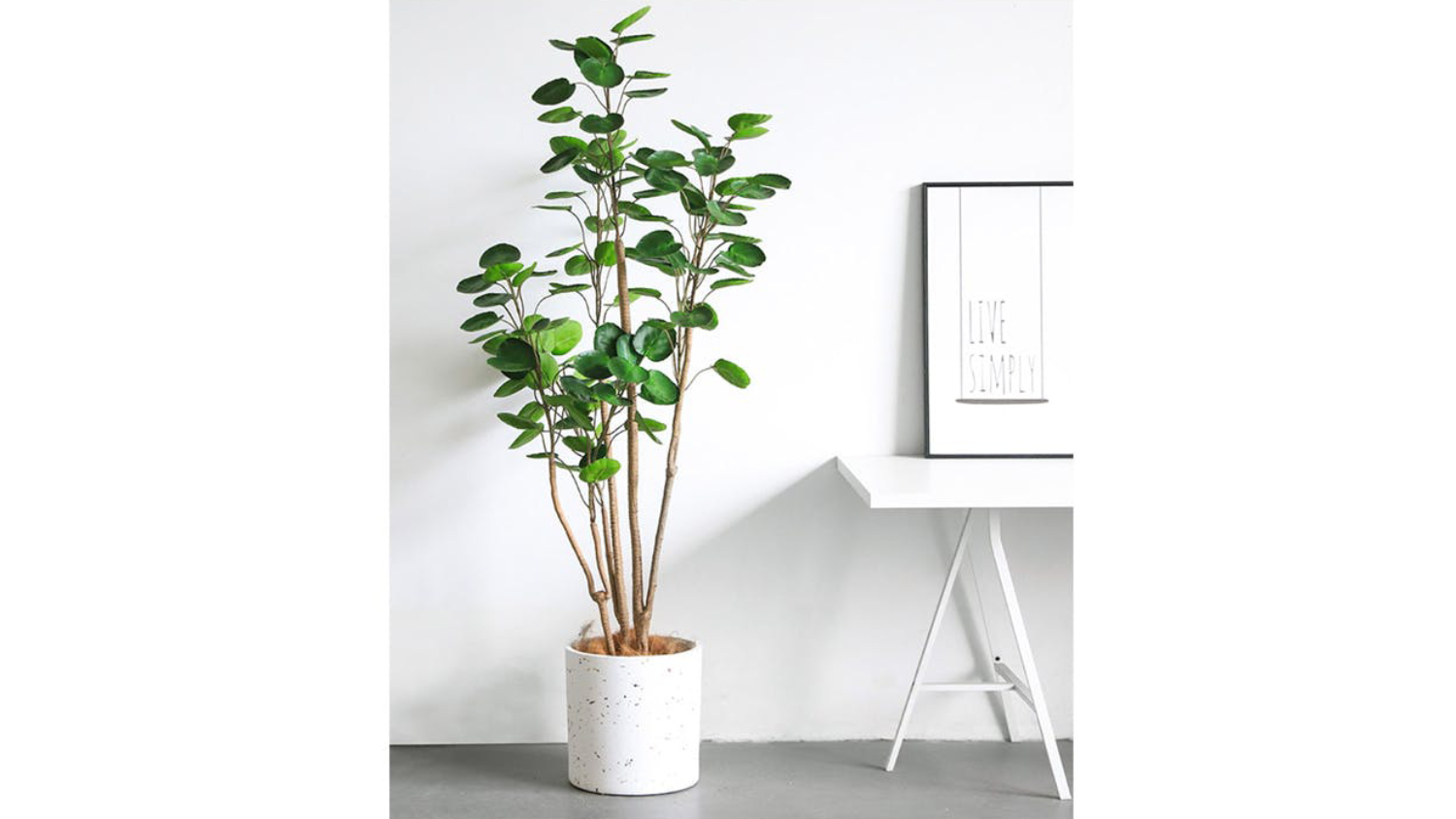Soga Artificial Pocket Money Tree 180cm