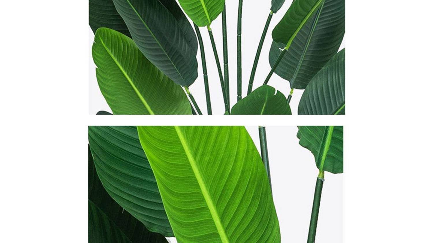 Soga Artificial Banana Plant 180cm