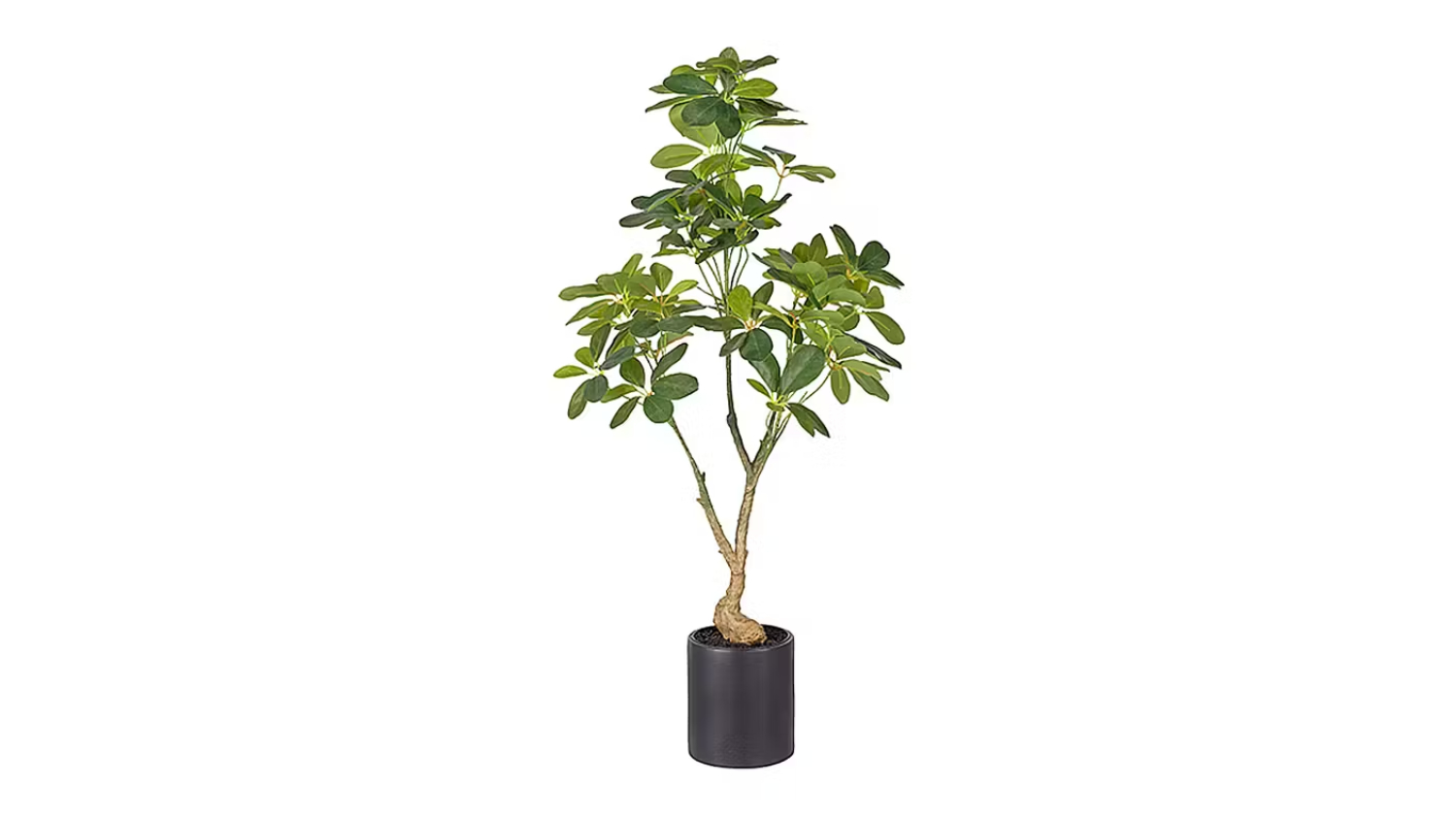 Soga cm Artificial Schefflera Plant 120cm