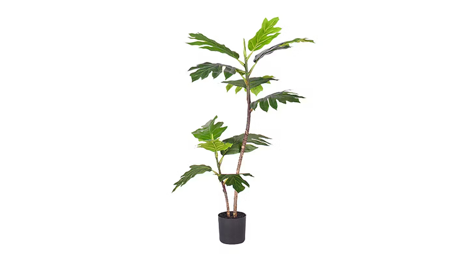 Soga 2-Trunk Artificial Philodendron Plant  90cm