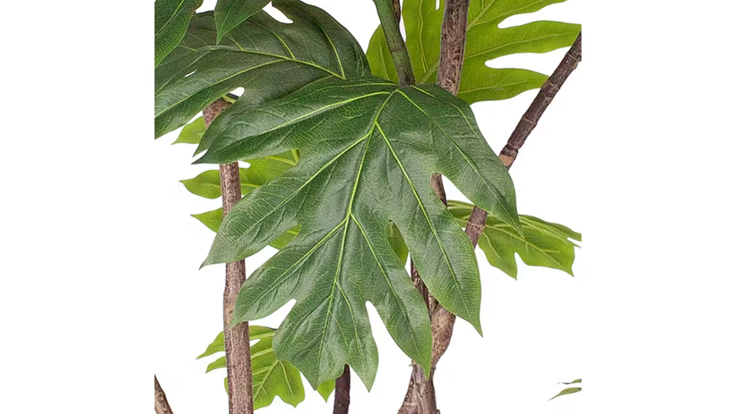 Soga 2-Trunk Artificial Philodendron Plant  90cm