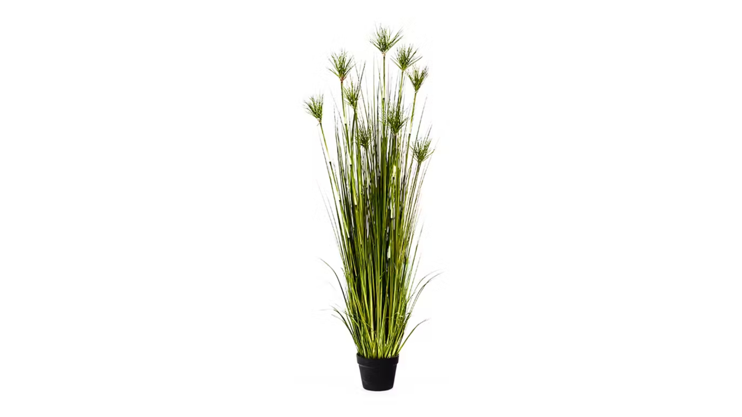 Soga 150cm Artificial Potted Papyrus Plant - Green