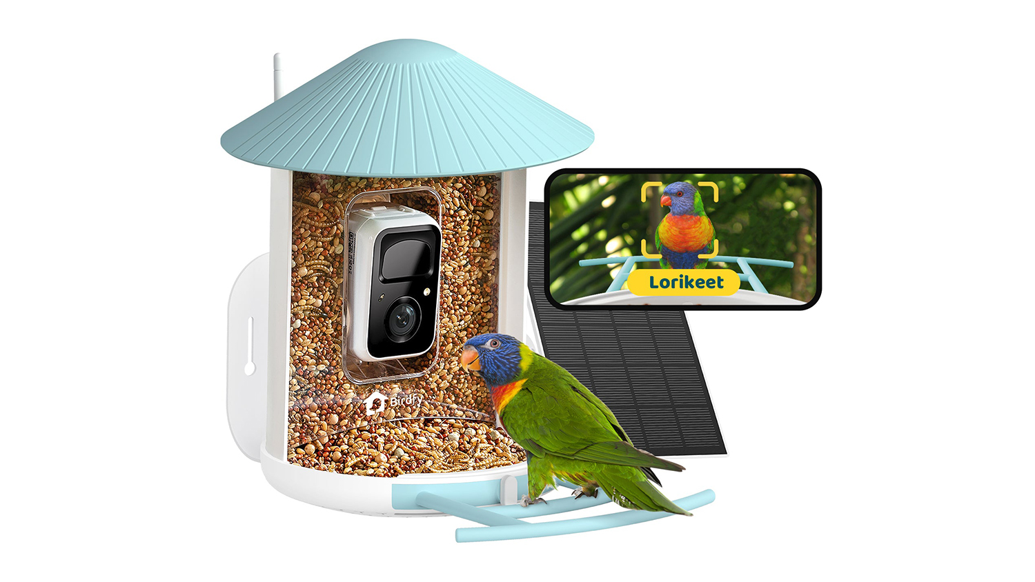 Birdfy AI-Powered Bird Feeder
