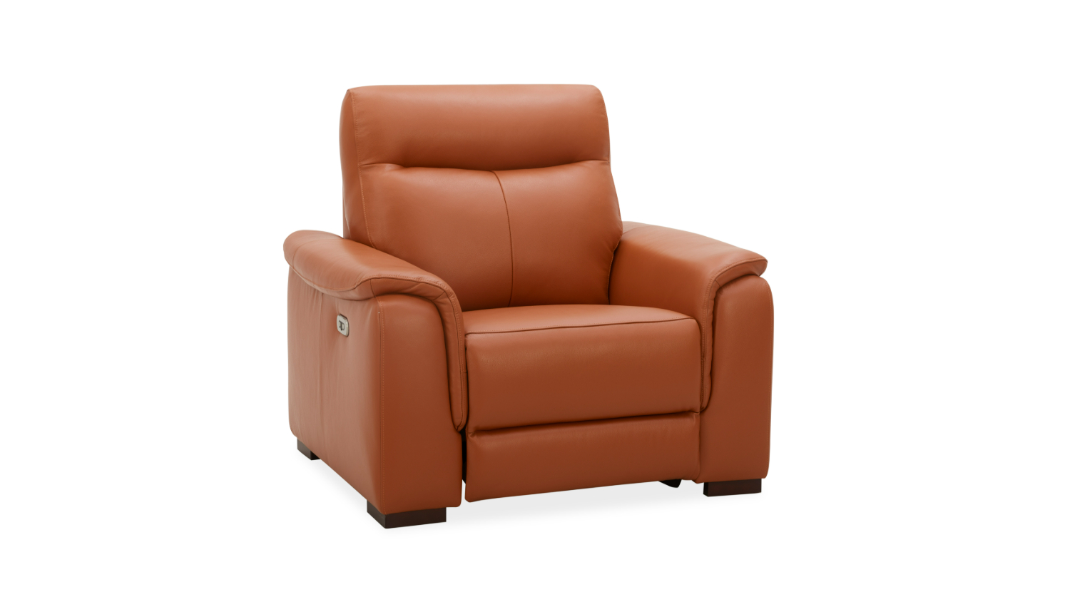 Holt Leather Electric Recliner Chair