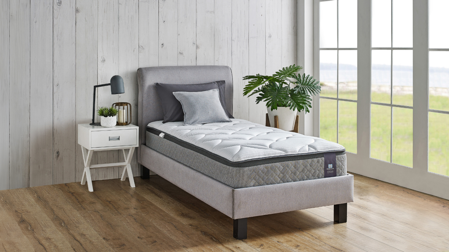 Avoca Medium Single Mattress by Sealy Posturepedic