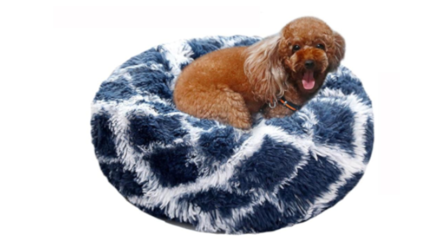 A small brown dog sitting on a round, plush pet bed with shaggy texture and a navy blue and white geometric pattern.