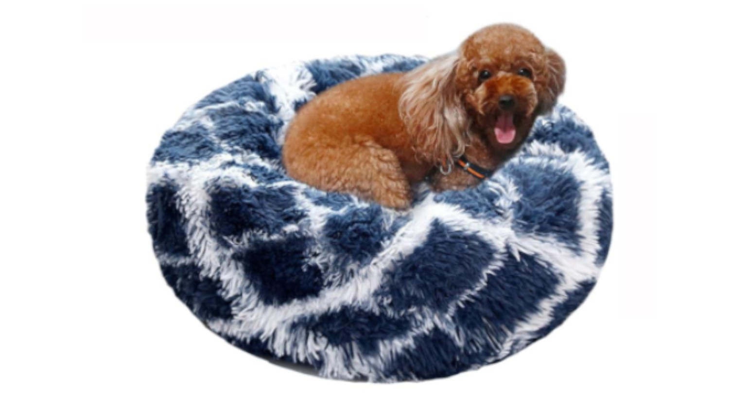A small brown dog sitting on a round, plush pet bed with shaggy texture and a navy blue and white geometric pattern.