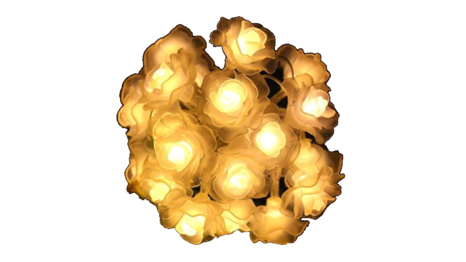 Hod LED Decorative String Lights - Warm White