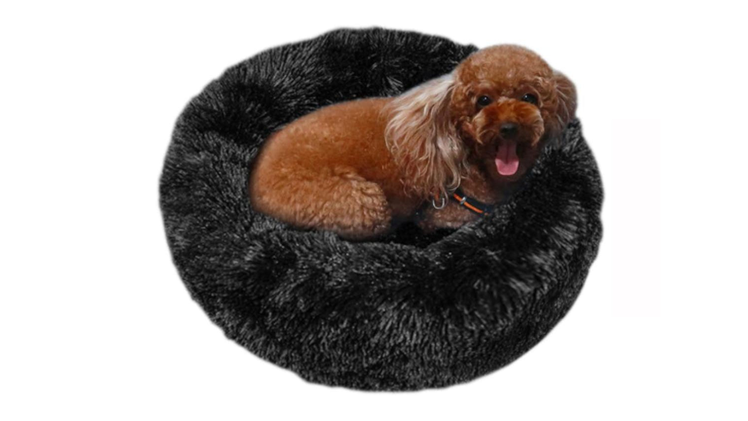 A dog with curly fur lies comfortably on a round, fluffy black pet bed.