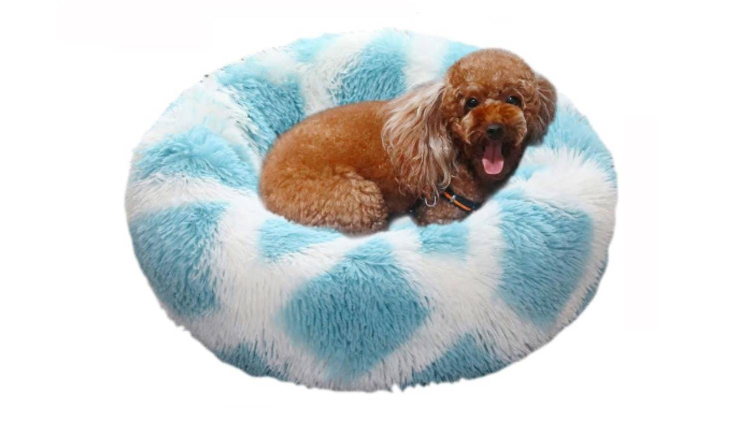 A dog with curly fur lies comfortably on a round, fluffy blue and white pet bed.